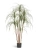 Искусственная Нолина Нитида TREEZ Collection 150h Искусственная Нолина Нитида TREEZ Collection 150h