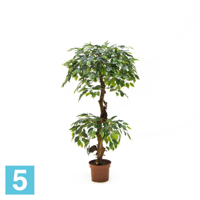 Фикус зеленый искусственный Alseed, h-130 см., латекс