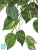 Искусственный Потос куст ампельный (серия FR - огнезащита) TREEZ Collection 70h