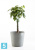 Кашпо с автополивом Ecopots Amsterdam, серое 30-d, 26-h
