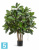 Фикус Эластика куст искусственный TREEZ Collection зелёный большой 120h