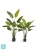 Искуственная стрелиция New Style с UV-защитой (Sensitive Botanic) TREEZ Collection 160h