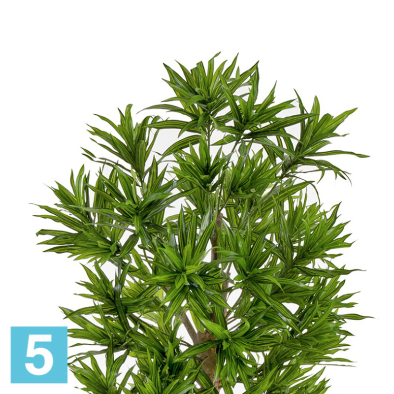 Драцена Рефлекса искусственная TREEZ Collection 120h