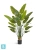 Искуственная стрелиция New Style (Sensitive Botanic) TREEZ Collection 180h