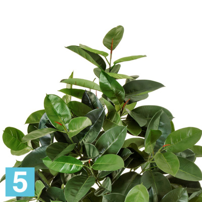 Фикус искусственный TREEZ Collection Эластика зелёный 150h