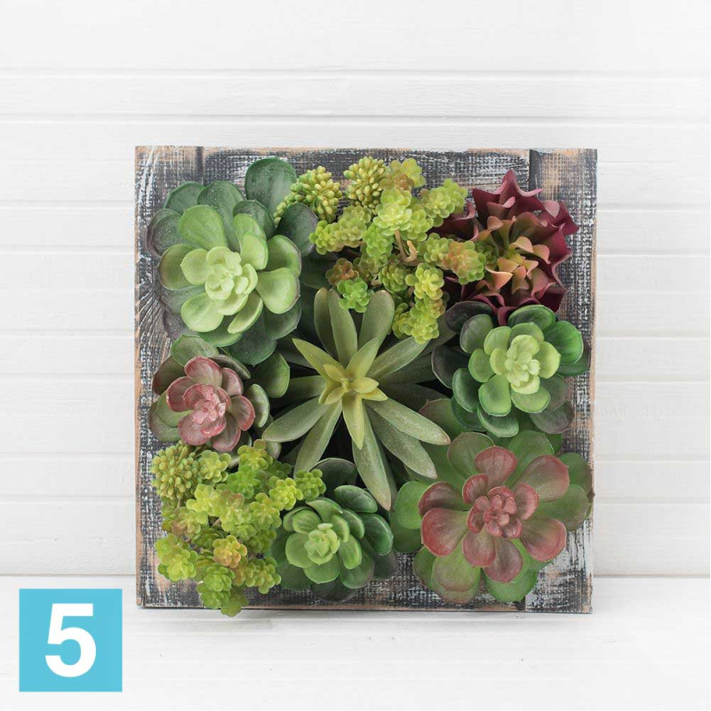 Фитокартина с суккул. в дер.раме искусственная Alseed, зел, 30*30