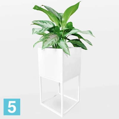 Кашпо на подставке КУБО ДЕ МАДЕРА 30-l, 30-w, 65-h, белое