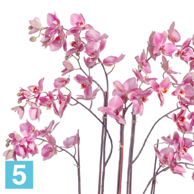 Композиция из искусственных цветов Орхидея Фаленопсис большая т.сиреневая в стекле с мхом, корнями, землей TREEZ Collection в #REGION_NAME_DECLINE_PP#
