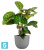 Напольное кашпо Artevasi Havana Tropical, серое 40-d, 33-h