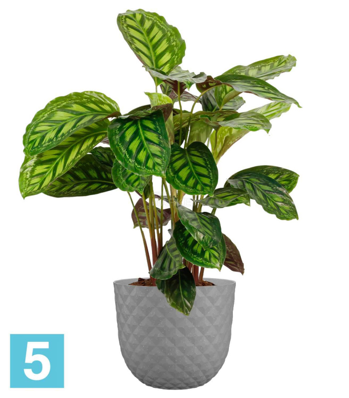 Напольное кашпо Artevasi Havana Tropical, серое 40-d, 33-h