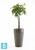 Высокое кашпо Ecopots Sankara-MH, антрацит 35-d, 55-h