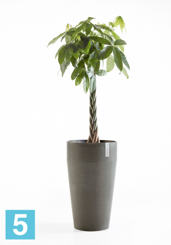 Высокое кашпо Ecopots Sankara-MH, антрацит 35-d, 55-h