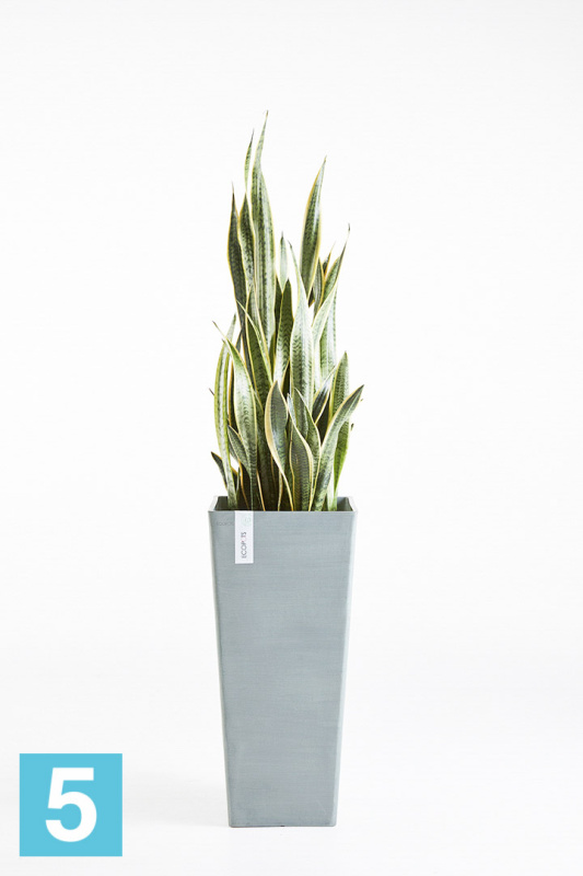 Высокое кашпо Ecopots Rotterdam-H, серо-голубое 32-l, 32-w, 70-h