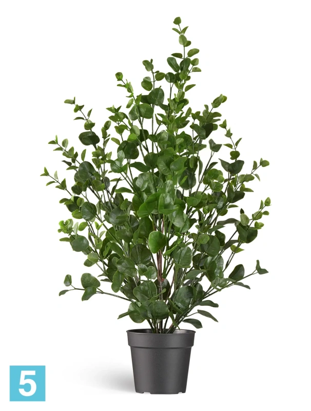 Искусственный Эвкалипт TREEZ Collection зеленый куст 13h