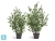Искусственный Эвкалипт TREEZ Collection припылённо-зеленый куст 92h