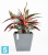 Напольное кашпо Ecopots Rotterdam, серое 50-l, 50-w, 44-h