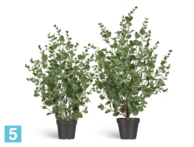 Искусственный Эвкалипт TREEZ Collection припылённо-зеленый куст 92h