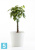 Напольное кашпо Ecopots Amsterdam, светло-серое 40-d, 35-h