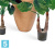 Алоказия Калидора искусственная TREEZ Collection 80h Алоказия Калидора искусственная TREEZ Collection 80h