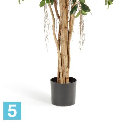 Фикус Ретуса искусственный TREEZ Collection 180h в #REGION_NAME_DECLINE_PP#