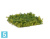 Мох Ягель зелёный микс (коврик) искусственный TREEZ Collection 25h