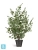 Искусственный Эвкалипт TREEZ Collection припылённо-зеленый куст 92h