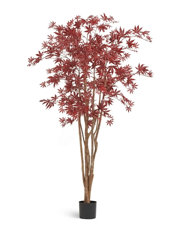 Искусственный клён японский Вайлд красный TREEZ Collection 180h