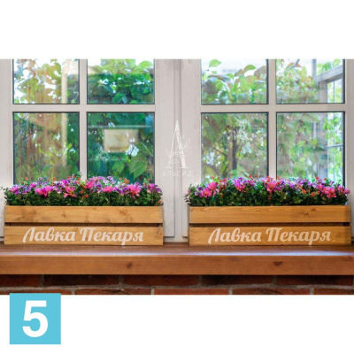 Ко см.ея в кокос.боксе искусственная Alseed, 55, 5х7, 5х12