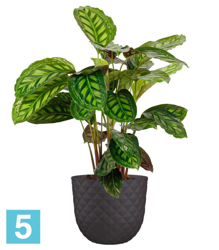 Напольное кашпо Artevasi Havana Tropical, антрацит 40-d, 33-h