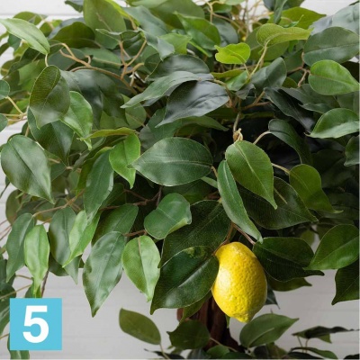 Бонсай плод. Лимон искусственный Alseed, 2 ярусн., латекс в #REGION_NAME_DECLINE_PP#
