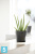 Кашпо с автополивом Ecopots Amsterdam, антрацит 20-d, 18-h