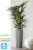 Высокое кашпо Ecopots Amsterdam-MH, серое 30-d, 50-h