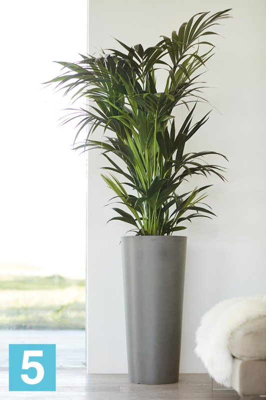 Высокое кашпо Ecopots Amsterdam-MH, серое 30-d, 50-h