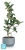 Кашпо Prosperplast HEOS низкий цилиндр, белое 29,8-d, 19-h