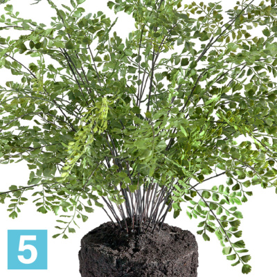 Папоротник Адиантум искусственный куст в земле с корнями TREEZ Collection 75-d, 65-h