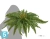 Искусственный Папоротник Бостон Новый натуральный зеленый TREEZ Collection 80-d, 30-h