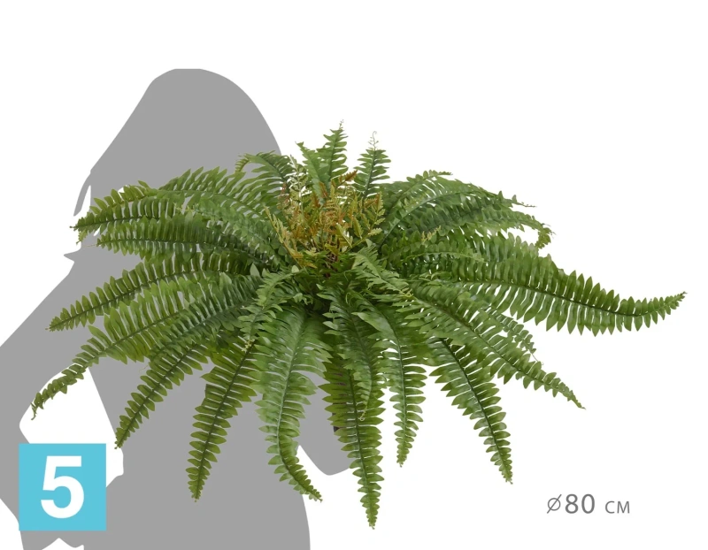 Искусственный Папоротник Бостон Новый натуральный зеленый TREEZ Collection 80-d, 30-h