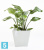 Кашпо с автополивом Ecopots Rotterdam, светло-серое 40-l, 40-w, 35-h Кашпо с автополивом Ecopots Rotterdam, светло-серое 40-l, 40-w, 35-h