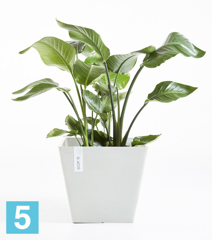 Кашпо с автополивом Ecopots Rotterdam, светло-серое 40-l, 40-w, 35-h