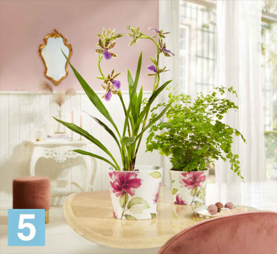 Керамическое кашпо Scheurich Burgundy Rose, бордовая роза 11-d, 9-h в #REGION_NAME_DECLINE_PP#