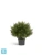 Туя искусственная TREEZ Collection Брабант пушистая шаровидная уличная 60h