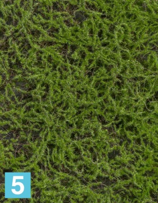 Мох Сфагнум Fuscum зелёный (полотно среднее) искусственный TREEZ Collection 50h в #REGION_NAME_DECLINE_PP#