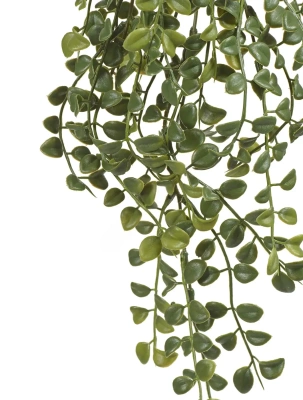 Искусственная дисхидия ампельная TREEZ Collection 25-d, 70-h