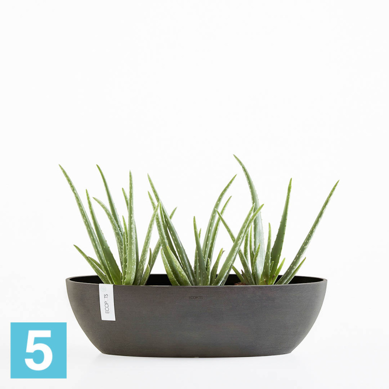 Настольное Кашпо Ecopots Sofia Long, антрацит 30-l, 13-w, 14-h