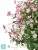 Композиция Альпийское разнотравье с нежно-розовыми и белыми цветами TREEZ Collection 52h