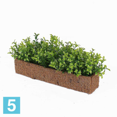 Самшит искусственный Alseed, h-15 см. в кокосовом боксе 40*8*7