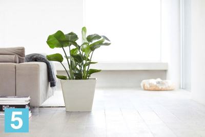 Кашпо с автополивом Ecopots Rotterdam, светло-серое 50-l, 50-w, 44-h
