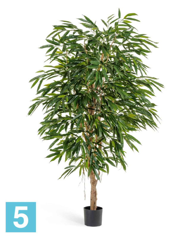 Лонгифолия Роял искусственная TREEZ Collection 210h