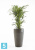 Высокое кашпо Ecopots Sankara-H, антрацит 45-d, 75-h