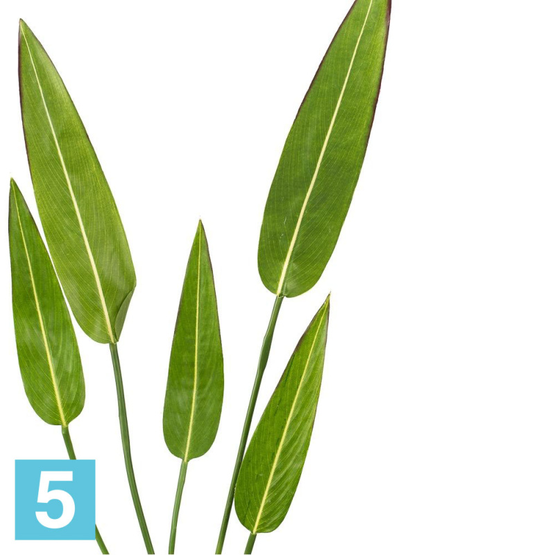 Куст стрелиции искусственный искусственный Alseed, мелкий, h-75  см., 6015, 5л.